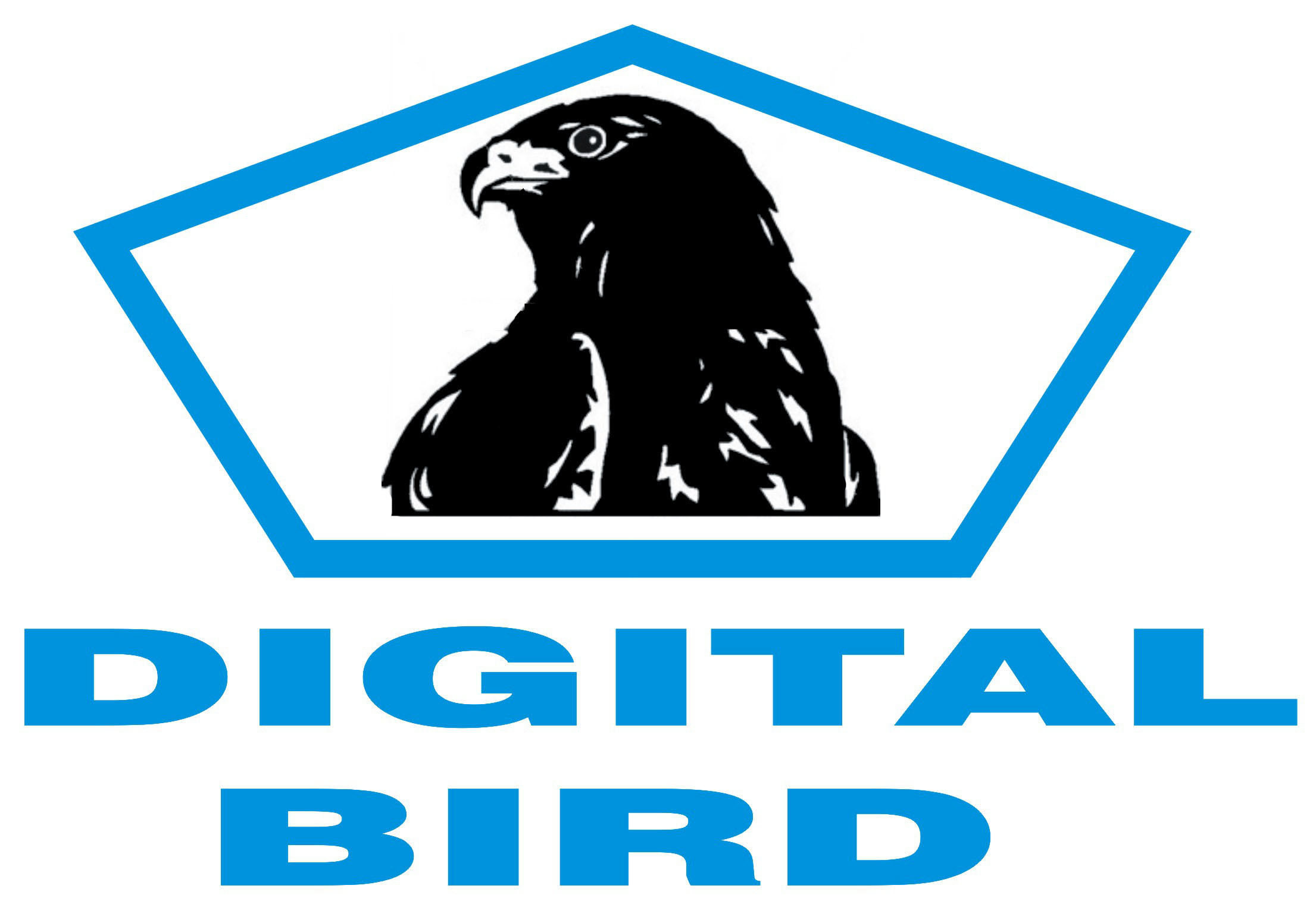 DIGITALBIRD DI MICHELE BUTTIERI